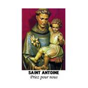 Neuvaine Saint Antoine